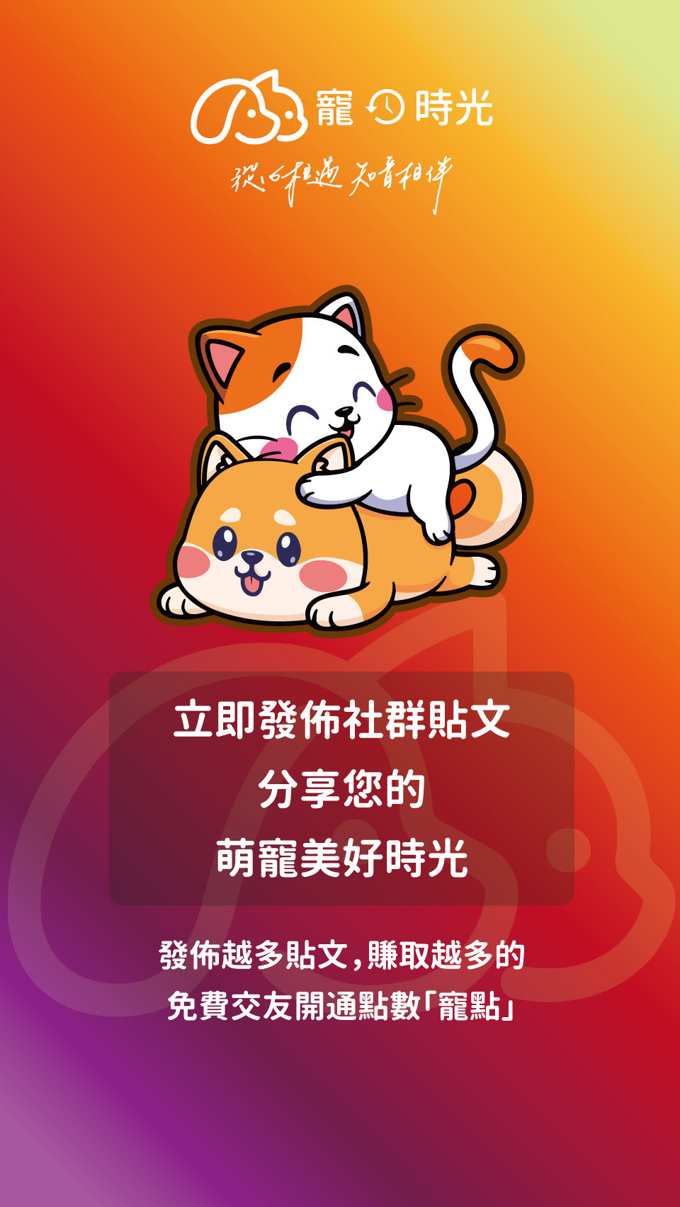 ▲▼寵時光,App,毛小孩,月老。（圖／寵時光App提供）