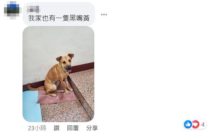 ▲▼告示牌底部出現一張「眼熟黑嘴黃」　臉上亮點笑噴千人：被通緝了。（圖／攝自Facebook）