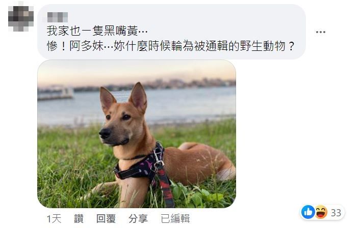 ▲▼告示牌底部出現一張「眼熟黑嘴黃」　臉上亮點笑噴千人：被通緝了。（圖／攝自Facebook）