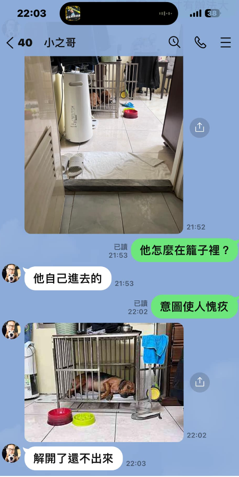 7354676 ▲沒有媽媽的床!可憐汪「落寞睡籠子」眼神哀戚 情緒勒索最高境界(圖/粉專「瘋狂比利憤怒道」提供,請勿隨意翻拍,以免侵權。)