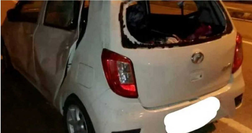 一家3口駕車出遊撞倒小象！象群暴怒「狂奔復仇」踩爛轎車