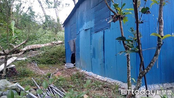 ▲▼團隊現場施予鎮靜及抗癲癇藥物急救台灣黑熊。（圖／花蓮分署提供，下同）