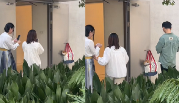 ▲▼飼主上廁所先把柴柴掛門把，卻意外吸引許多人拍照。（圖／翻攝自抖音／逆子loki）