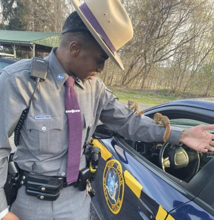d7332710 ▲▼小松鼠。(圖/翻攝自Facebook/New York State Police)