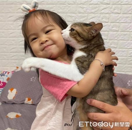 d7334390 ▲▼貓咪揪妹妹「練習碰瓷」 手把手教學萌翻奴才:同時喝醉酒膩。(圖/有點毛毛的/飼主張吐司)