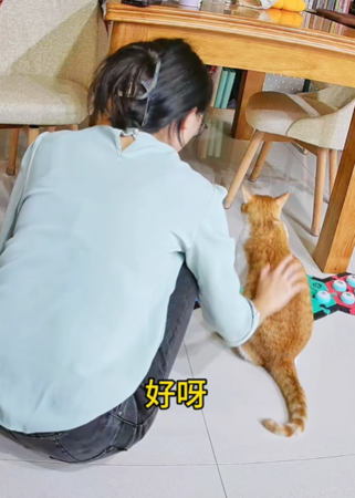 ▲▼ 聰明的點點。（圖／翻攝自IG）