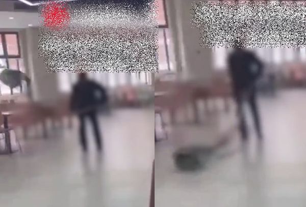 ▲為了抓浪浪！大學保全捕網撈狗「暴力朝地摔打」　影片掀兩派論戰。（圖／翻攝自微博）