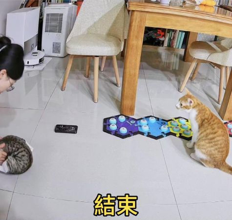 ▲▼結束舔傷口。（圖／翻攝自IG）