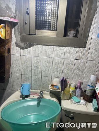 ▲▼洗衣服見「蒼白臉」嚇壞！他抬頭見真相笑翻　開窗收編偷窺犯。（圖／飼主查理提供）