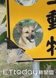 ▲告示牌底部出現一張「眼熟黑嘴黃」　臉上亮點笑噴千人：被通緝了。（圖／原PO提供）