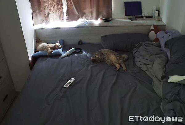 ▲想看可愛睡姿...驚「犯罪現場」肉泥吃到飽　媽嘆：想回家揍小孩（圖／網友宮泣雪提供，請勿隨意翻拍，以免侵權。）