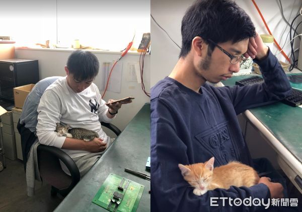 ▲橘貓「監工一半睡著」饋頭閉眼登出！　工程師無奈：椅子臭掉了（圖／IG「fei_xiang_1017」提供，請勿隨意翻拍，以免侵權。）