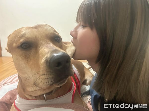▲▼拍照永遠1號表情　汪「拍成證件照」嚴肅坐直挺媽笑：狗界儀隊。（圖／網友湯綾綾授權提供）