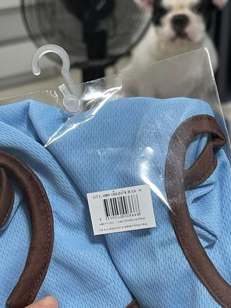 ▲▼辣妹主人搶先試穿愛犬衣服　法鬥「眼神死」氣到垮臉：快點還來。（圖／翻攝自Thanchanok Phasuk臉書）