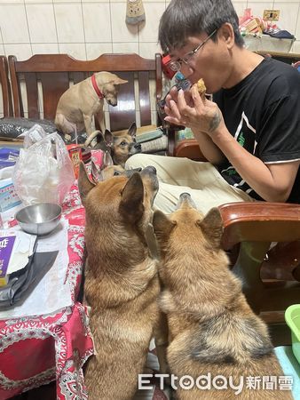 ▲爸爸客廳吃飯「6汪熱情眼神包圍」　她嘆肉都不敢夾：壓力太大了（圖／網友郭小姐提供，請勿隨意翻拍，以免侵權。）