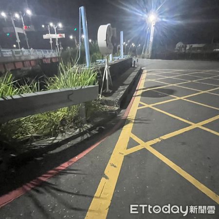 ▲彰化員林市出現一級保育類柴棺龜。（圖／王仟奕提供）