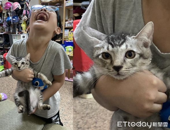 ▲領養小毛球！二兒子「多一個小弟」仰頭笑掉大牙　牠一臉貓咪問號。（圖／飼主Gan Jun提供）