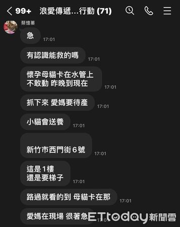 d7344392 ▲「大肚子卡水管」以為孕貓困高處 2壯丁爬梯子想救...一看傻眼了。(圖/粉專「邵柏森-虎哥救援大小事」提供)