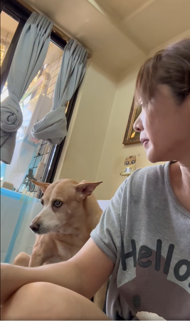▲▼米克斯妹妹。（圖／翻攝自Facebook）
