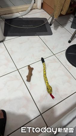 ▲在寵物店吵著要買！狗狗回到家變心「害怕縮角落」：你不要靠近我（圖／網友大頭拔拔提供，請勿隨意翻拍，以免侵權。）