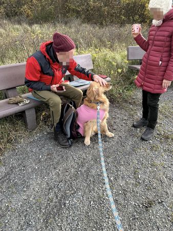 ▲社恐飼主養到「社牛黃金獵犬」　散步遇一狀況尬爆：只好拜託路人。（圖／有點毛毛的／飼主Auton Ton提供）