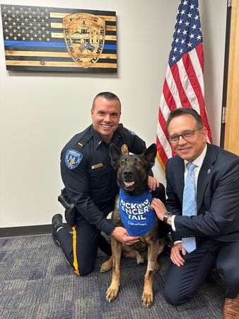 ▲警犬切除惡性腫瘤！「宣布抗癌成功」燦笑復工　脖子領巾藏小洋蔥。（圖／翻攝自Facebook／Bensalem Police）