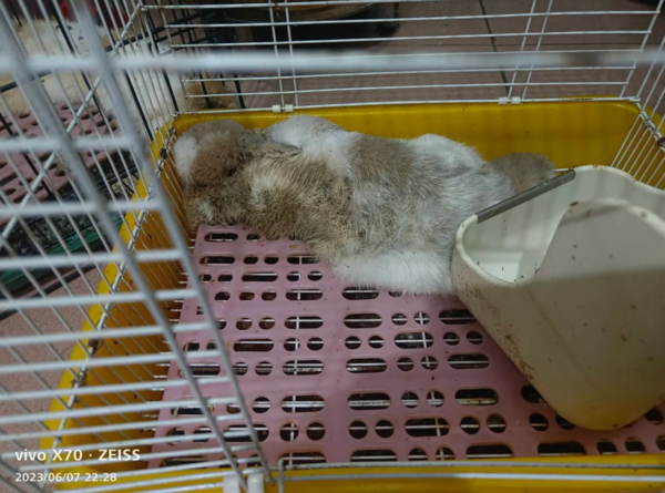 ▲▼             。（圖／）