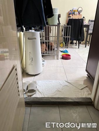 d7354673 ▲沒有媽媽的床!可憐汪「落寞睡籠子」眼神哀戚 情緒勒索最高境界(圖/粉專「瘋狂比利憤怒道」提供,請勿隨意翻拍,以免侵權。)