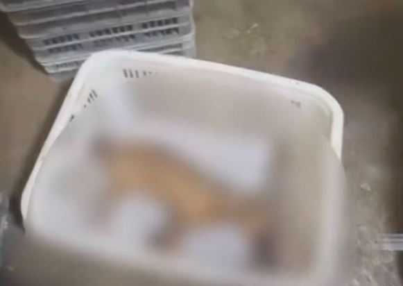 「猴子」被帶到了市場進行宰殺。（圖／微博）