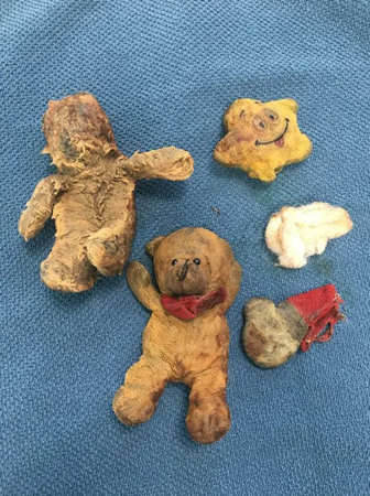 聖伯納犬吞玩具。（圖／翻攝自Paragon Veterinary Referrals）