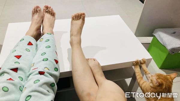 ▲學爸爸媽媽桌上翹腳！橘貓伸長短短腿「無奈勾不到」：極限了...（圖／網友Tony Wu提供，請勿隨意翻拍，以免侵權。）