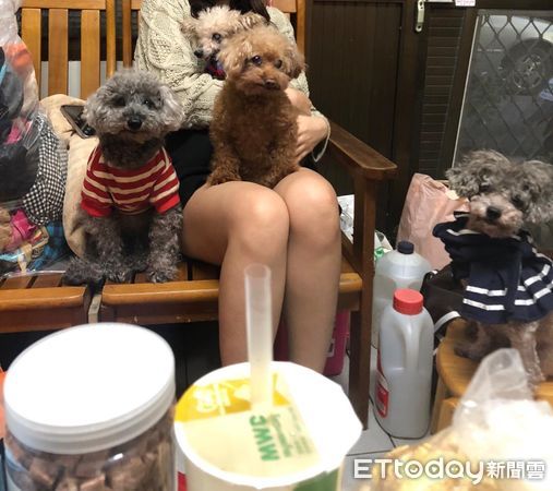 ▲阿嬤難得打來「叮嚀3件事」　女兒聽完大吃醋：開口閉口都是牠們（圖／有點毛毛的／網友Winnie Love Nibifili提供，請勿隨意翻拍，以免侵權。）