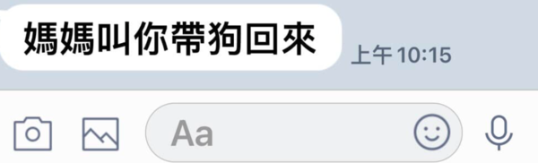 ▲阿嬤難得打來「叮嚀3件事」　女兒聽完大吃醋：開口閉口都是牠們（圖／有點毛毛的／網友Winnie Love Nibifili提供，請勿隨意翻拍，以免侵權。）