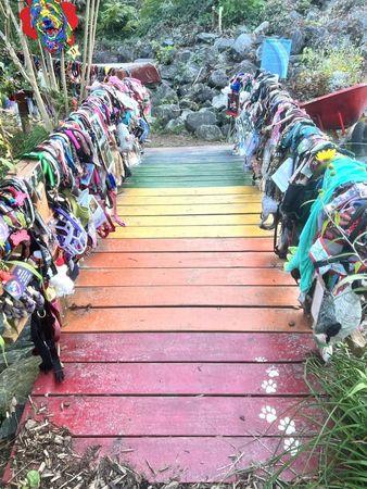 彩虹橋。（圖／翻攝自Lake Lure Flowering Bridge臉書）