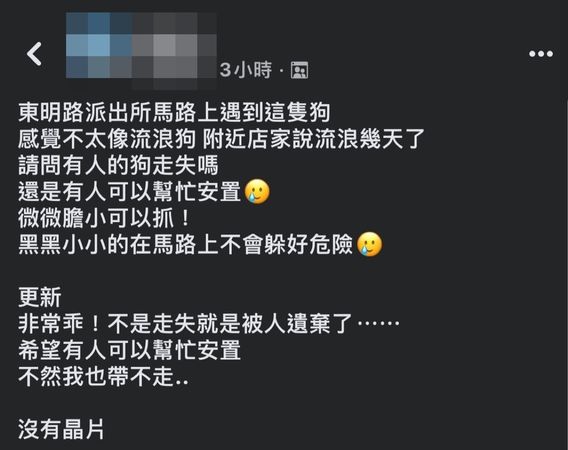 d7365878 ▲貴賓犬獨自在馬路徘徊「黑黑一小坨」超危險 店家曝:流浪幾天了。(圖/攝自Facebook/基隆警馨雲)