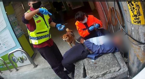 d7366093 ▲▼老翁昏倒忠犬護主 警救護代照顧愛犬。(圖/南投警察局埔里分局提供)