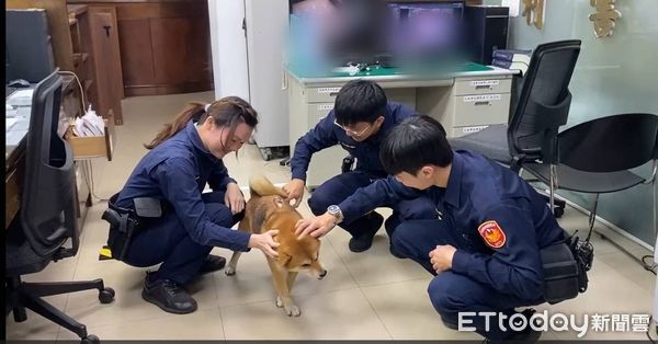 d7366115 ▲賴姓老翁在街上昏倒送醫、愛犬守護在側不離,警方熱心代為照顧忠犬。(圖/記者高堂堯翻攝)
