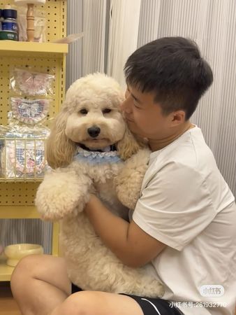 大耳狗多比。（圖／翻攝自小紅書@多比的日常鴨）