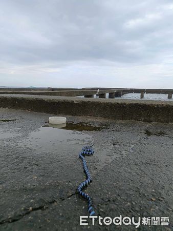 d7368749 ▲▼貢寮巧遇「亮藍色繩子」是劇毒海蛇 內行人:被咬到會過橋。(圖/網友Tai Tai Chun授權提供)