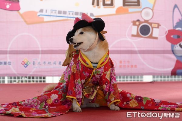 d7371535 ▲景勤狗活動區,狗狗,寵物公園。(圖/台北市動保處提供)