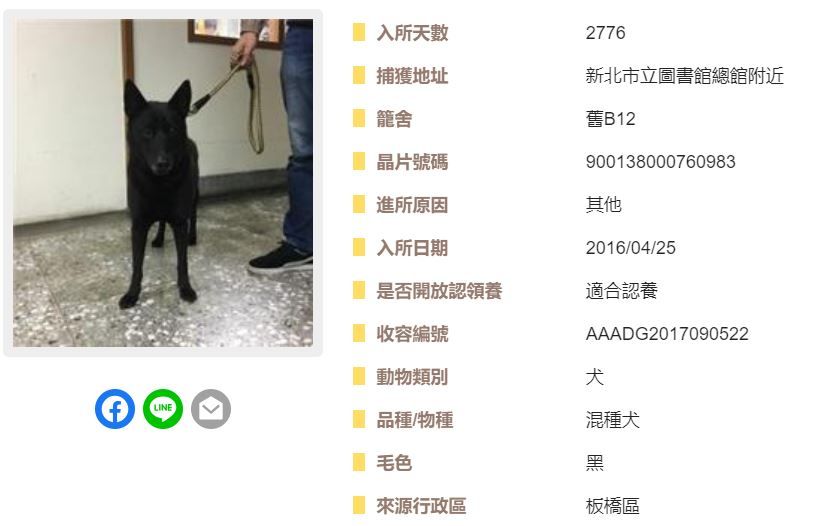 ▲入所7年7個月！板收黑狗等嘸家「滿臉長出白毛」　一個眼神惹心疼。（圖／翻攝自全國動物收容管理系統）