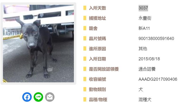 ▲苦蹲收容所8年7個月！黑狗等嘸家「憂鬱縮鐵籠」　看板介紹惹鼻酸。（圖／翻攝自全國動物收容管理系統）