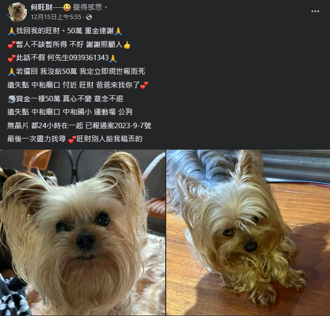 ▲▼13年愛犬走失！飼主祭出「50萬元」懸賞： 旺財爸爸來找你了。（圖／翻攝臉書社團「急尋貓狗走失協尋救援認養」）