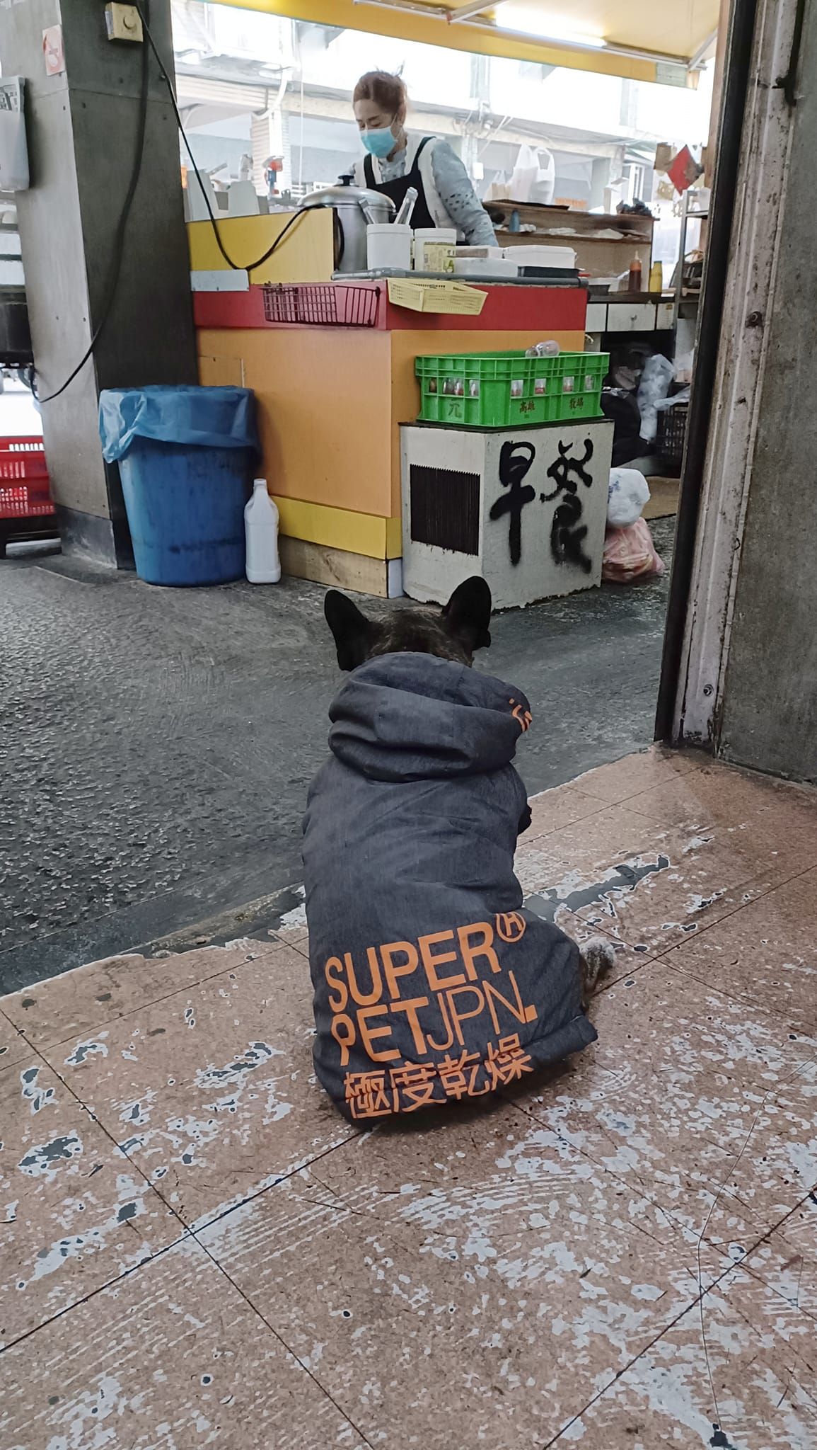 7417402 ▲小黑狗穿著Superdry外套。(圖/翻攝自臉書/路上觀察學院)