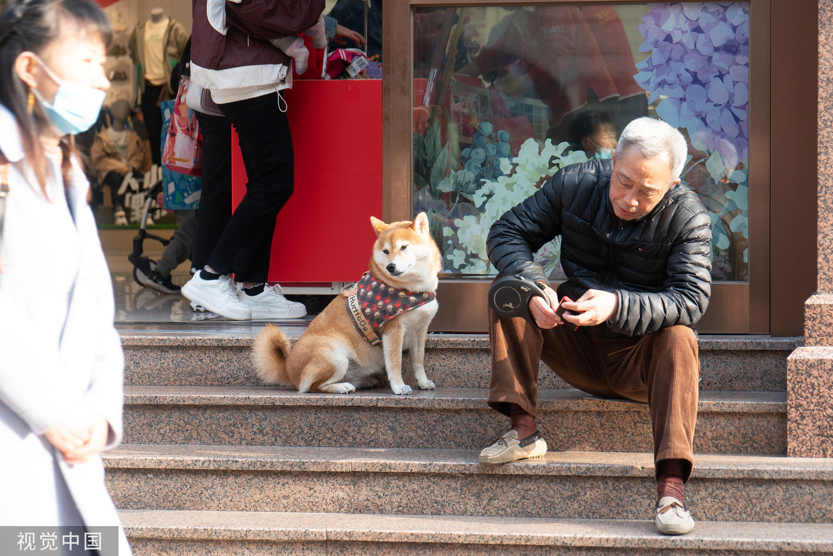 ▲▼老人與狗,老人,遛狗,柴犬,馬爾濟斯。（示意圖／CFP）