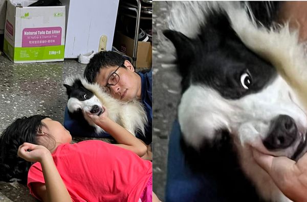 ▲▼跟爸爸擁抱曬恩愛　汪看到半獸人「滿臉驚恐」：你怎麼在這？（圖／有點毛毛的／網友呂詩琪提供）