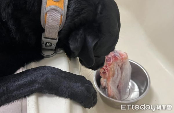d7098532 ▲還沒好?搜救犬浴缸緊盯「退冰牛腱」不動 他緊張:看了十分鐘。(圖/粉專「Tyfd-K9桃園搜救犬隊」提供,請勿隨意翻拍,以免侵權。)