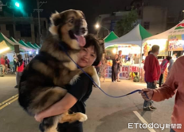 ▲從小抱到大！狗4年長胖41kg　神力女超人阿姨「雙手扛起」超輕鬆。（圖／粉專「大熊與FiFi的反差萌日記」提供，請勿隨意翻拍，以免侵權。）
