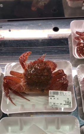 d7375479 ▲日海鮮店「毛蟹穿破保鮮膜」活過來 揮舞手腳…網驚:以為3D廣告(圖/社群平台X/荒木鮮魚店)