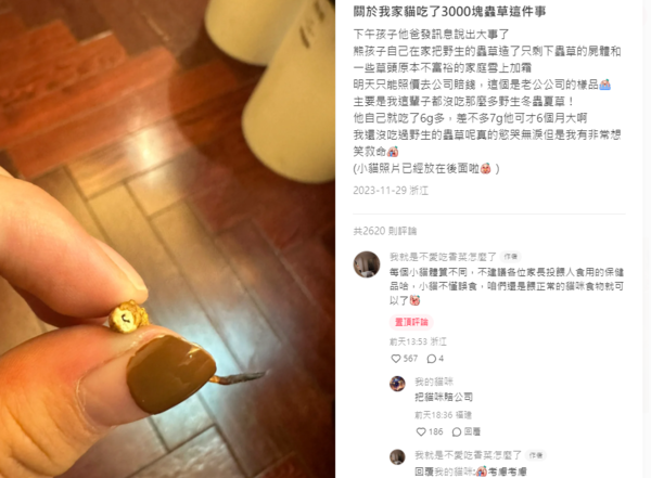 ▲小貓吃掉1.3萬元蟲草。（圖／翻攝自小紅書@我就是不愛吃香菜怎麼了）